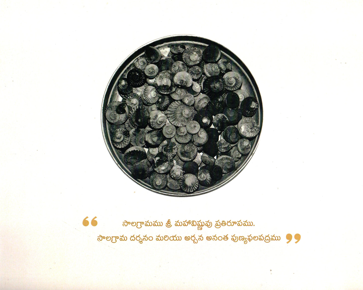 Salagrama Vaibhavamu (Telugu-Book)