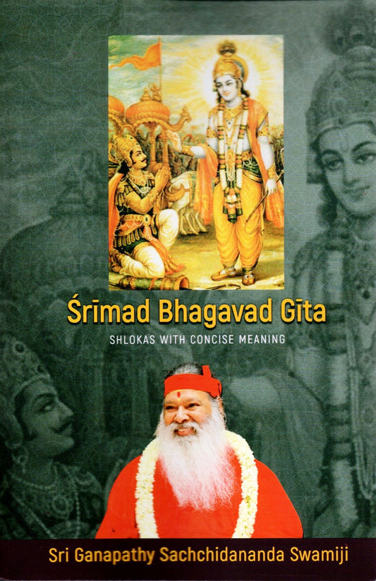 Bhagavad Gita Meaning Book (English)